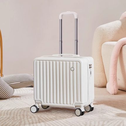 Small luggage trolley case